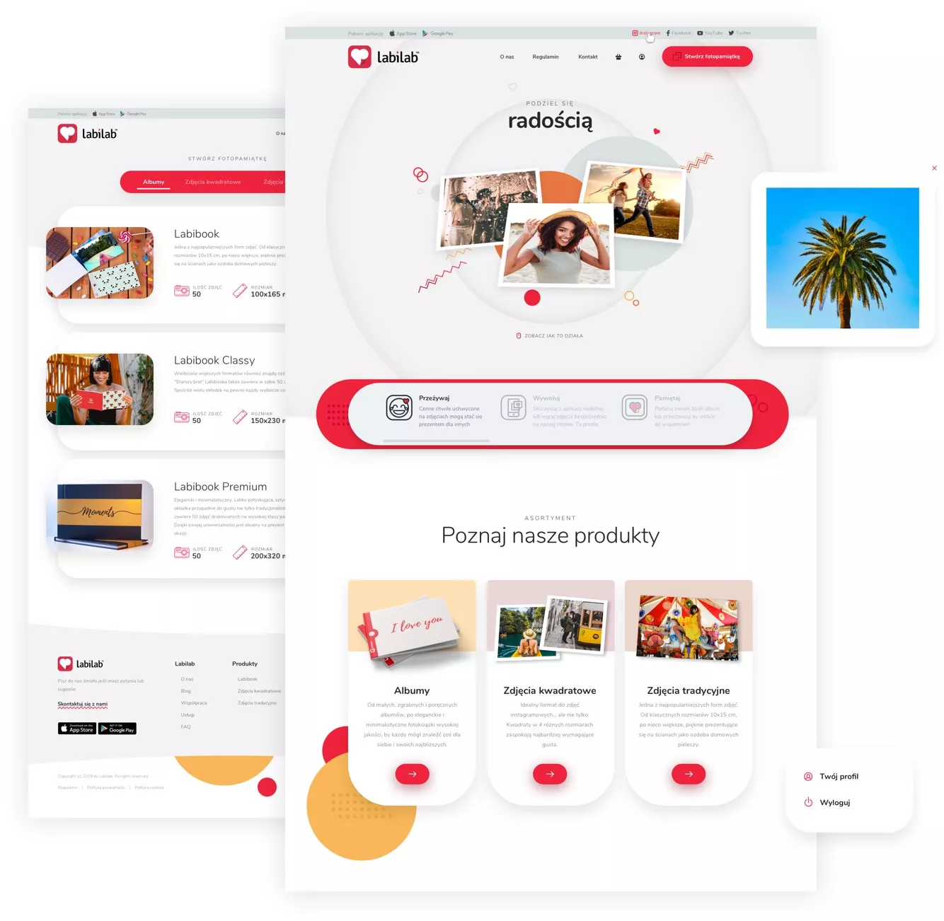 Strona www Labilab, landing page Strona www Labilab, landing page